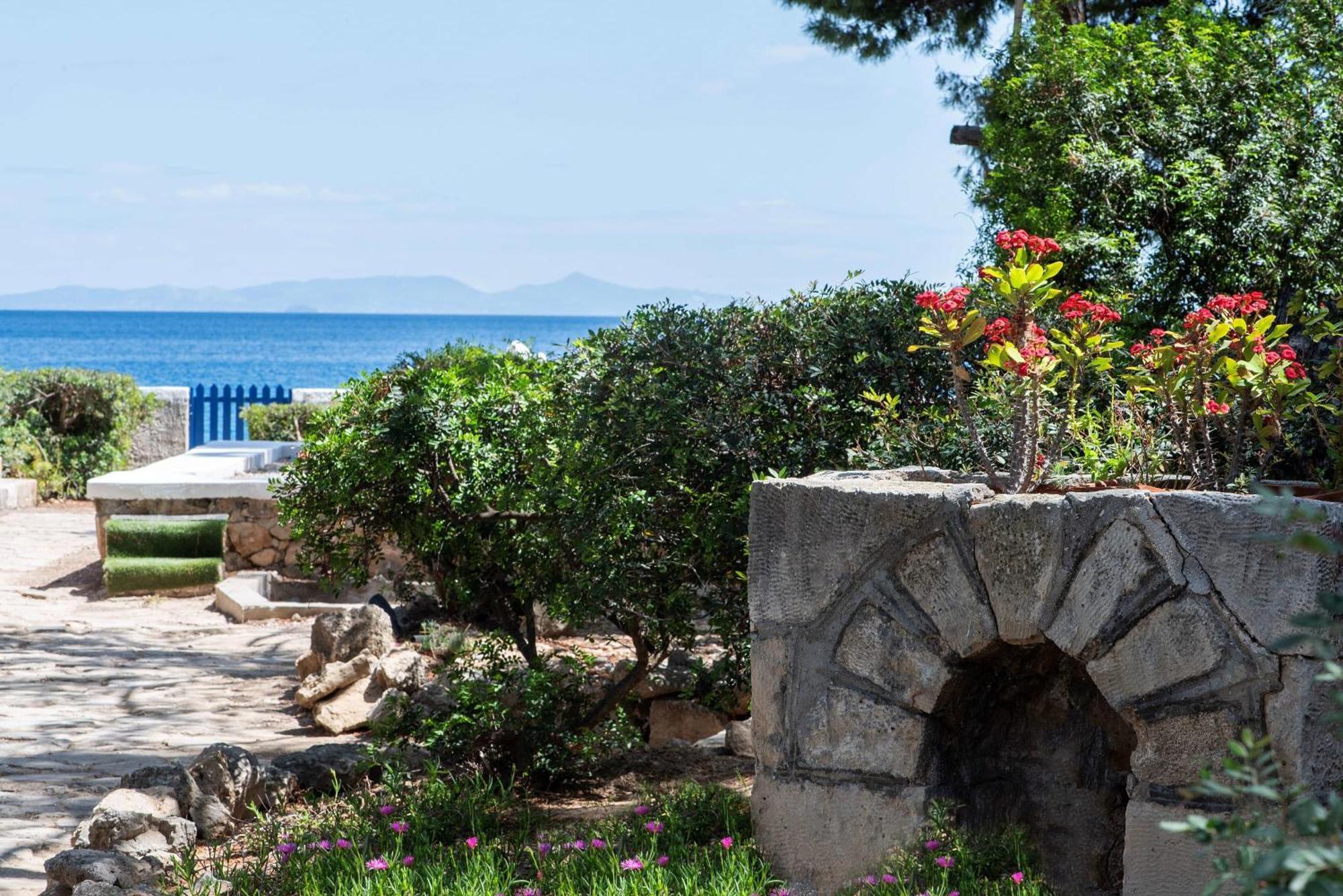 The Saronic Villa - Jungle On The Sea Agioi Theodoroi Exteriér fotografie